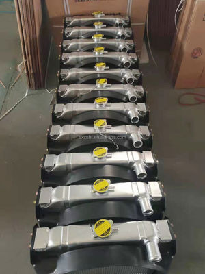 Shaanxi Truck Radiator Assembly WG9719530276 1424113101002 100% Professionally Tested
