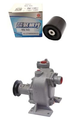 Weichai 61500030009 61500020071 612630020152 612600090460 612600060260 612630010015 Injector