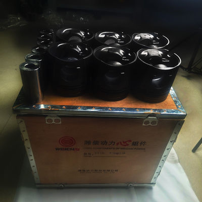Top- Engine Overhaul Kits Weichai Power Wp10 Part No. 612600900079 Other Car Fitment