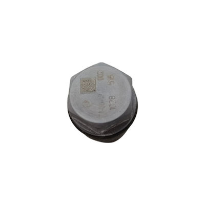 High Pressure Common Rail System Fuel Pressure Limiting Valve Sensor OEM Standard Size