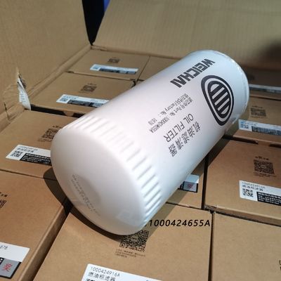 Standard Size Fine Fuel Filter Element 1000422382a for Engine Filter Aftermarket Purpose