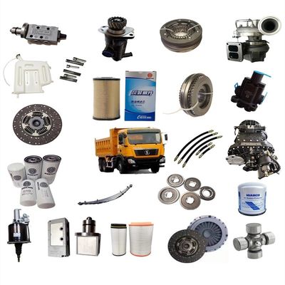 Shacman Car Fitment Fuel Filter Vg1540080110 for Heavy Duty Truck Parts