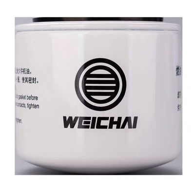 Auto Oil Filter1000002416 Diesel Filter1000349720a Fuel Filter for Shacman Car Fitment