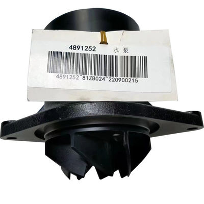 Diesel Engine Parts Water Pump C4891252 with Standard Size and OE NO. 4891252