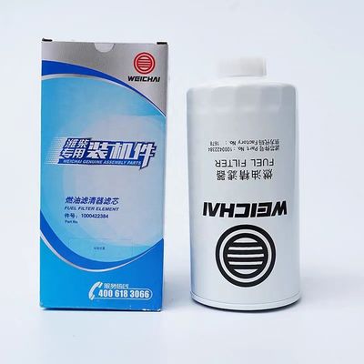 1001562599A 1001910416A Diesel Filter Element for Shacman Weichai WP2.3 4M06G Engine