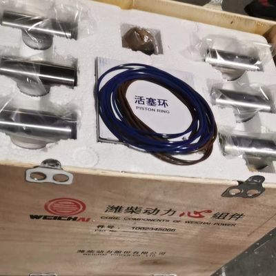Shacman Heavy Duty Trucks Weichai P10H Oil Group Four Sets of Cylinder Liner 1002345066